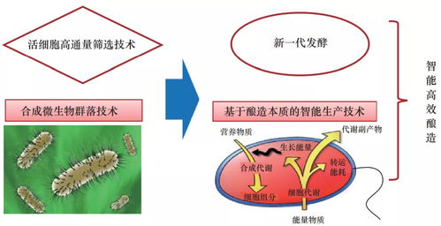 中国工程院院刊8000字长文 传统发酵食品产业的技术转型升级战略