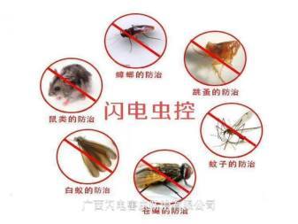 桂林十年专业虫害消杀团队除虫除蚁提供除蟑螂、除蚊蝇、灭鼠服务