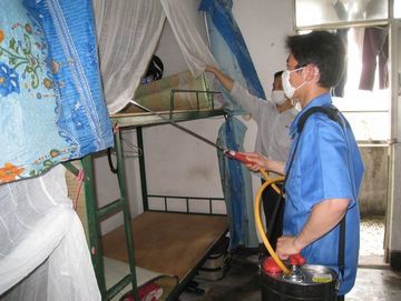 广州荔湾灭虫害服务公司,上门消杀,灭蟑螂,床垫杀臭虫