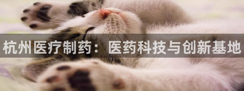 门徒娱乐项目有哪些