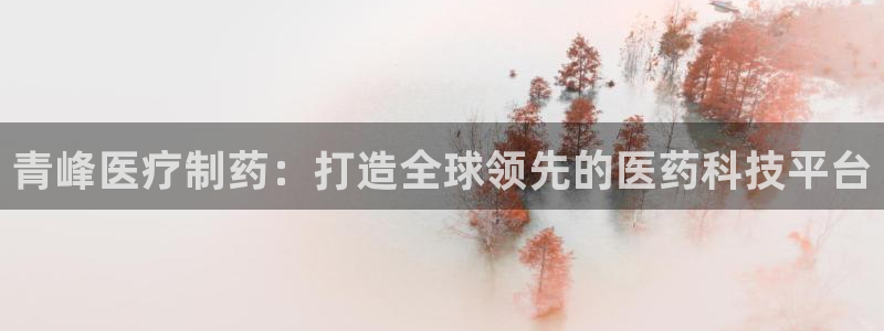 门徒娱乐公司介绍怎么写