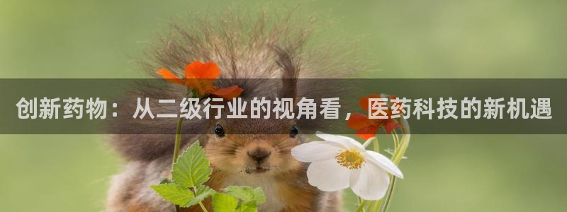 门徒娱乐平台是正规的吗