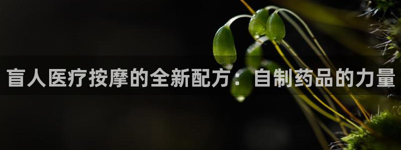 娱乐门徒登录网站