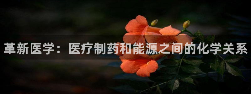 门徒娱乐登录网址