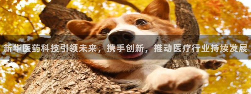 门徒娱乐盈利怎么样