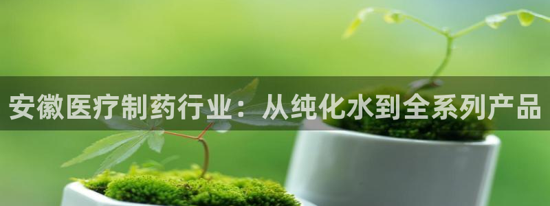 门徒娱乐主管是谁