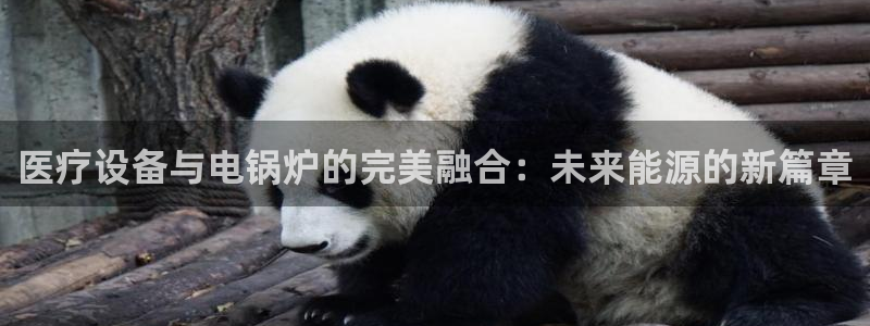 娱乐门徒小说免费下载