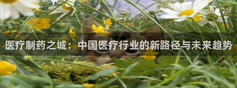 门徒娱乐能玩吗