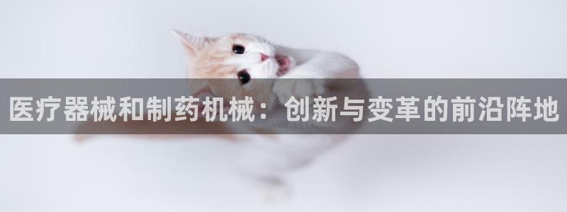 门徒娱乐用户评价与反馈怎么写