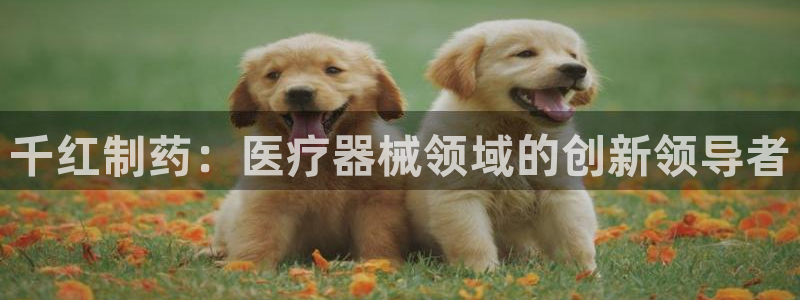 门徒娱乐总代理怎么样呀