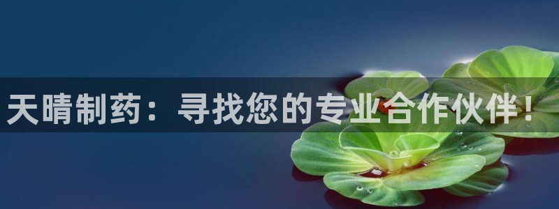 门徒娱乐挂机软件叫什么