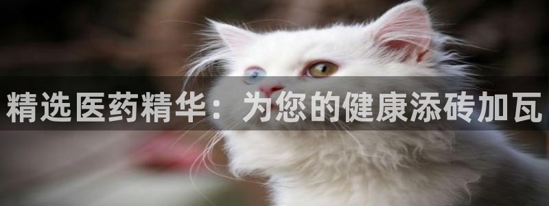 门徒娱乐主管名字叫什么