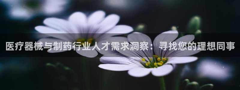 门徒娱乐项目有哪些游戏