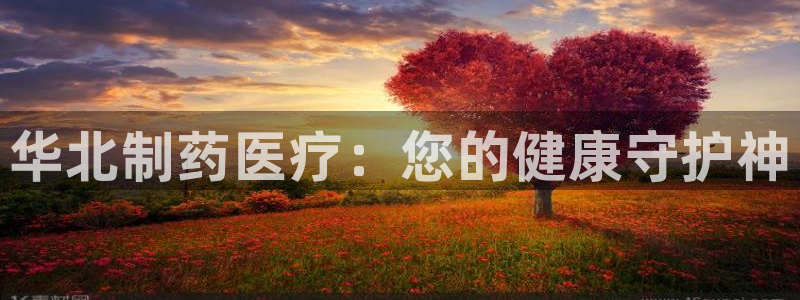 门徒娱乐注册官方网站