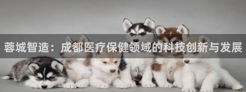 门徒娱乐负责人