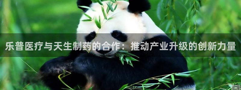 门徒娱乐怎么挂机刷钱