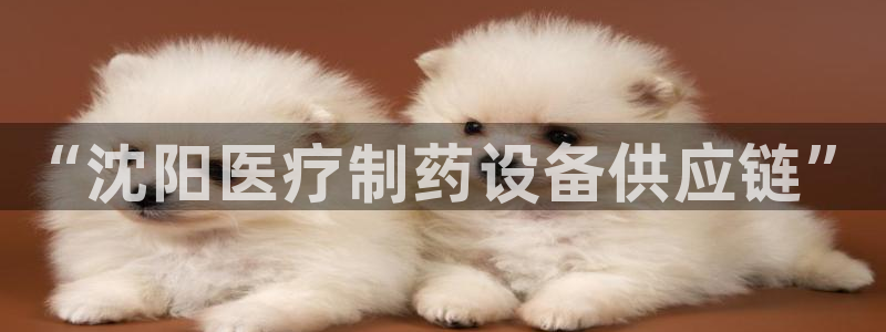 门徒娱乐官网首页下载