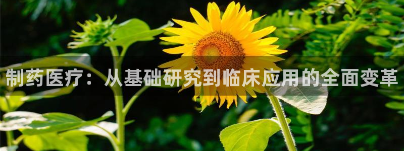 娱乐门徒 小说免费阅读