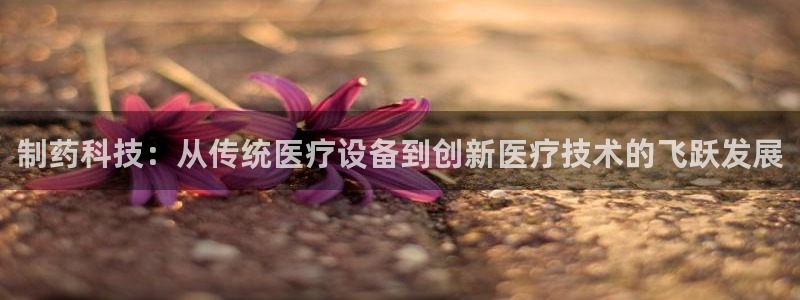 门徒娱乐官方网站地址