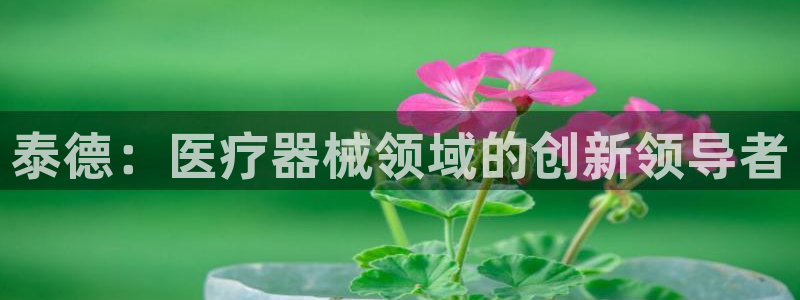 门徒娱乐软件有哪些