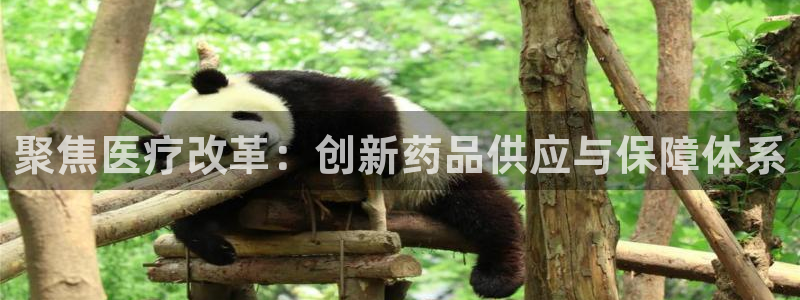 娱乐门徒是什么意思