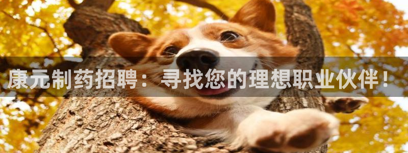 门徒娱乐老板是谁啊视频