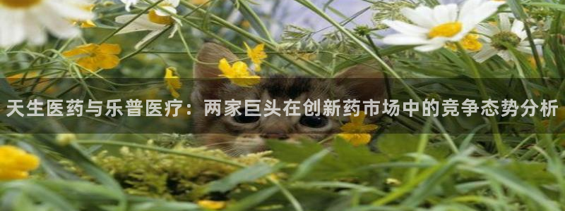 门徒娱乐网站有哪些