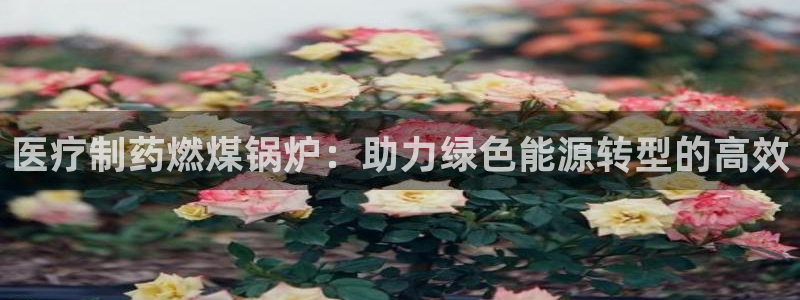 娱乐圈的曼巴门徒是谁呀