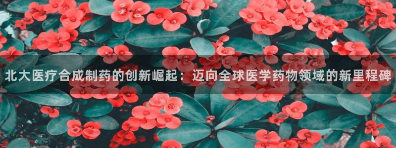 门徒娱乐大爆料视频播放