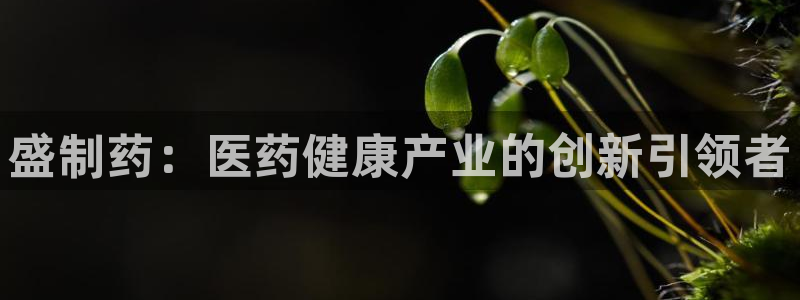 门徒娱乐是个什么