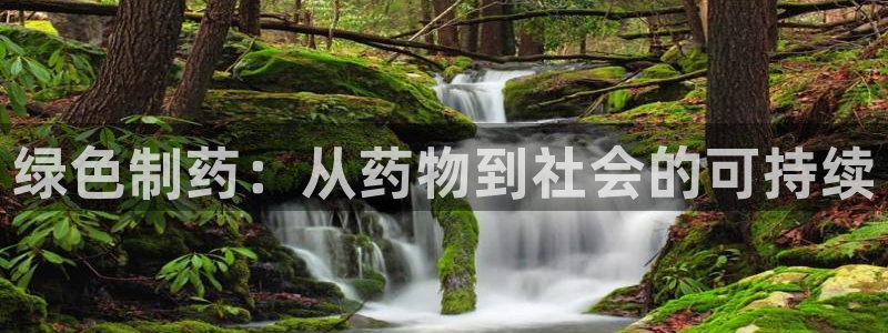 门徒娱乐里面的奖金是啥