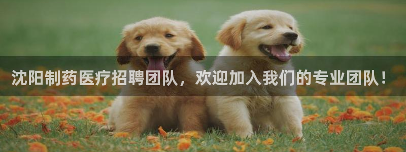 门徒娱乐下5指尖