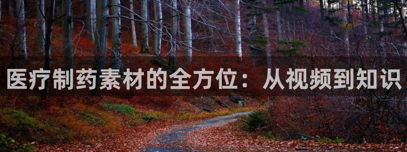 门徒娱乐是正规公司吗