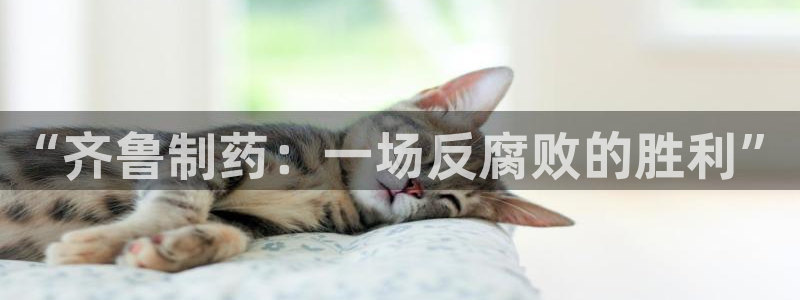 门徒第娱乐测速